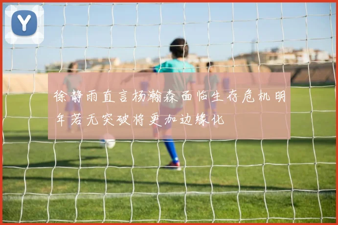 徐静雨直言杨瀚森面临生存危机明年若无突破将更加边缘化
