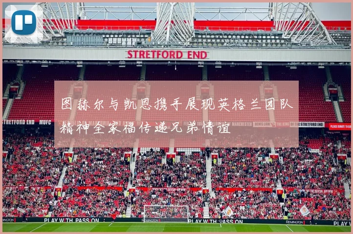 图赫尔与凯恩携手展现英格兰团队精神全家福传递兄弟情谊